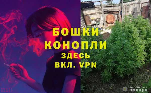 mdpv Заволжск