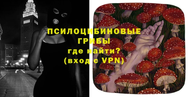 mdpv Заволжск